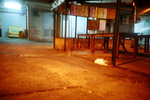 050922_lca_0002