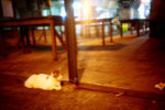 050922_lca_0003
