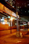 050922_lca_0004