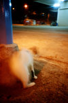 050922_lca_0007