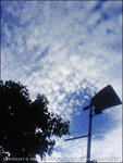 060525_w810i_0016