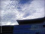 060525_w810i_0019