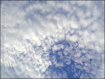 060525_w810i_0023