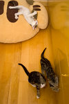 060626_20d_0009