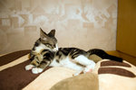 060626_20d_0038