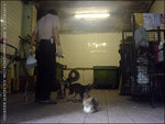 060504_w810i_0011