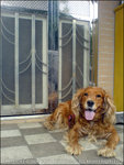 060429_w810i_0011
