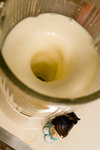 060520_20d_0014