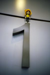 050914_lca_0017a