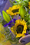060226_20d_0032