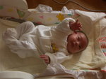 PICT0055
