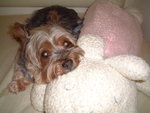 i like this pillow
