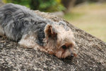 i'm sooo tired...