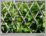 DSC03426