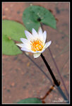 IMG_7513b