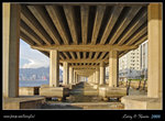 DPP_0002b