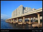 DPP_0003b