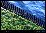 DPP_0005b