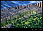 DPP_0006b