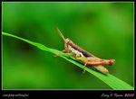 IMG_8122b