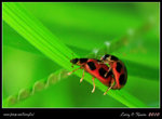 IMG_8160b