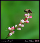IMG_8173b
