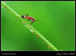 IMG_8180b