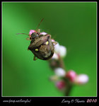 IMG_8202b