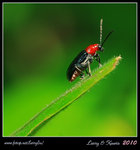 IMG_8218b1