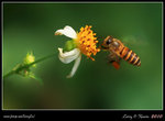 IMG_8229b