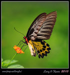 IMG_8273b