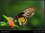 IMG_8281b
