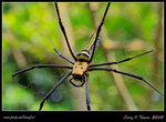IMG_8355b