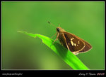 IMG_8407b