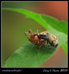 IMG_0217b2