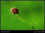 IMG_0296b