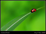 IMG_0314b