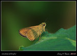 IMG_0455b
