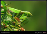 IMG_0626b