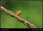 IMG_0816b