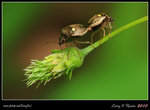 IMG_8575b