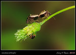 IMG_8586b