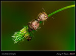 IMG_8589b4