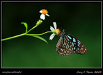 IMG_8645b