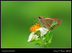 IMG_9085b