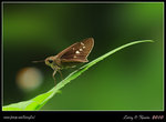 IMG_9090b