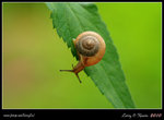 IMG_9098ab