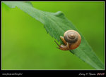 IMG_9099b