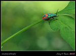 IMG_9213b
