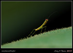 IMG_9363b